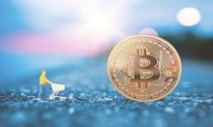 货币兑换的时间长度通常取决于多个因素，例如